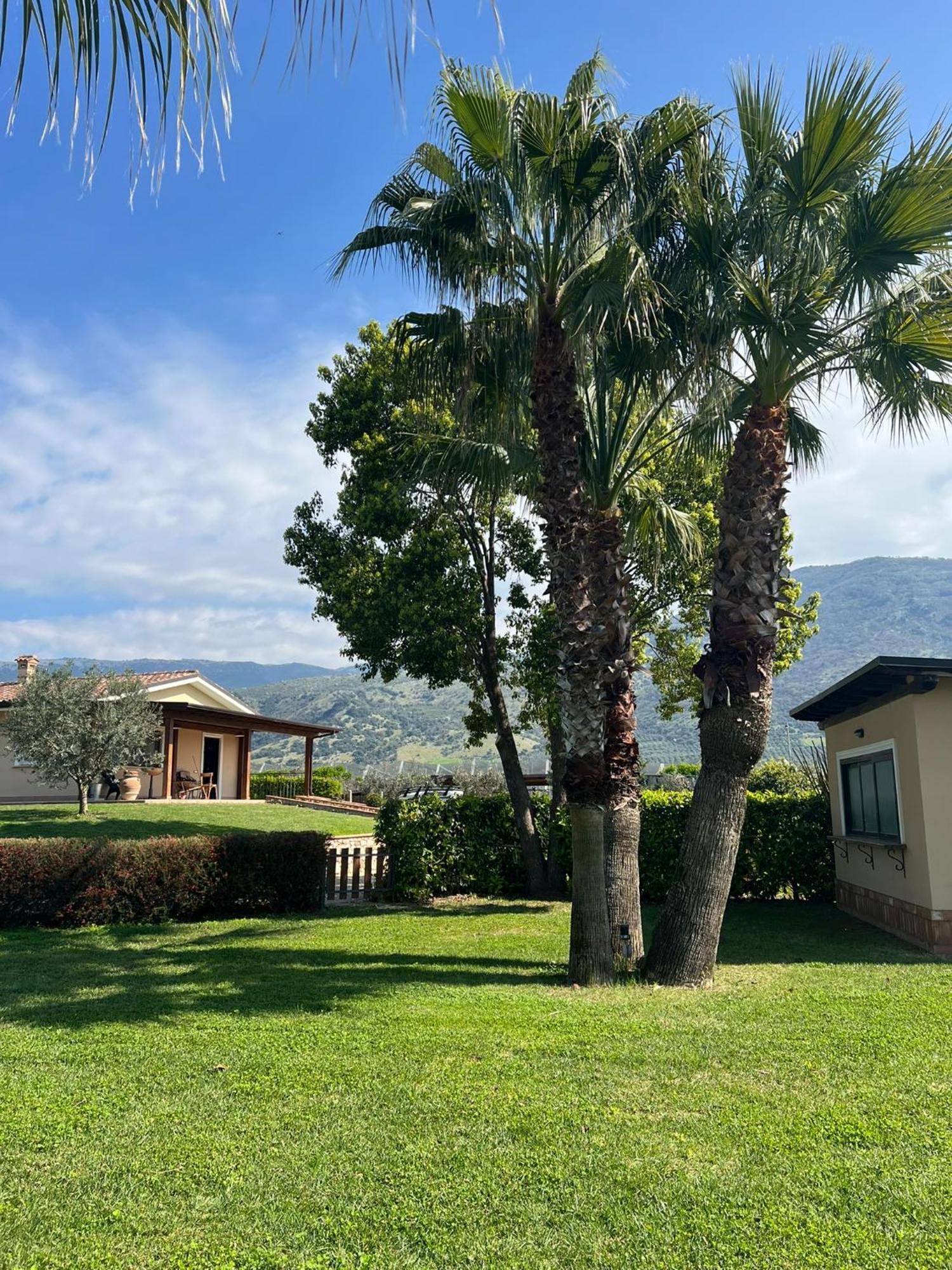 Villa Arianna Cori Exteriér fotografie